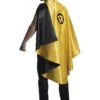 Deluxe Adult DC Robin Cape