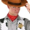 Disney Deluxe Woody Cowboy Costume Hat For Adults