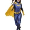Gotham Knights Batgirl Costume For Adult