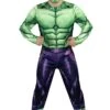 JAZWARES Marvel Hulk Qualux Costume For Men