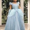 Disney Premium Cinderella Costume Dress For Women