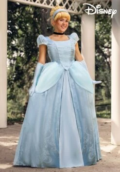 Disney Premium Cinderella Costume Dress For Women