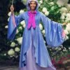 Disney Premium Fairy Godmother Adult Costume