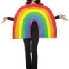 Adult Rainbow Costume