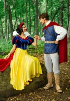 The Prince Costume For Men From Disney's Snow White -Halloween Costumes Shop adult snow white prince costume alt 8