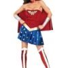 Adult Wonder Woman Costume