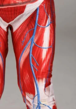 Anatomical Model Costume For Kids -Halloween Costumes Shop body skeleton costume alt 7