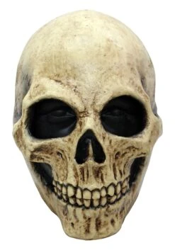Mask Of Bone Skull