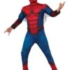 Boys Deluxe Spider-Man Costume
