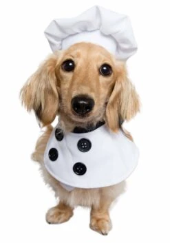 Chef Dog Costume