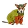 Chia Costume For Pets