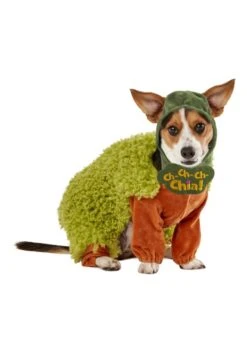 Chia Costume For Pets