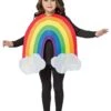 Rainbow Kid's Costume