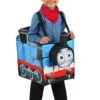 Child Thomas The Train Ride In Costume