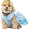 Cinderella Dog Costume