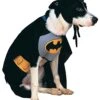Classic Batman Costume For Pets