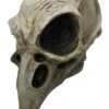 Crow Skull Mask