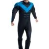 Deluxe Nightwing Men's Costume