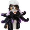 Disney Villains Ursula Pet Costume For Dogs