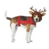 Reindeer Pet Dog Costume