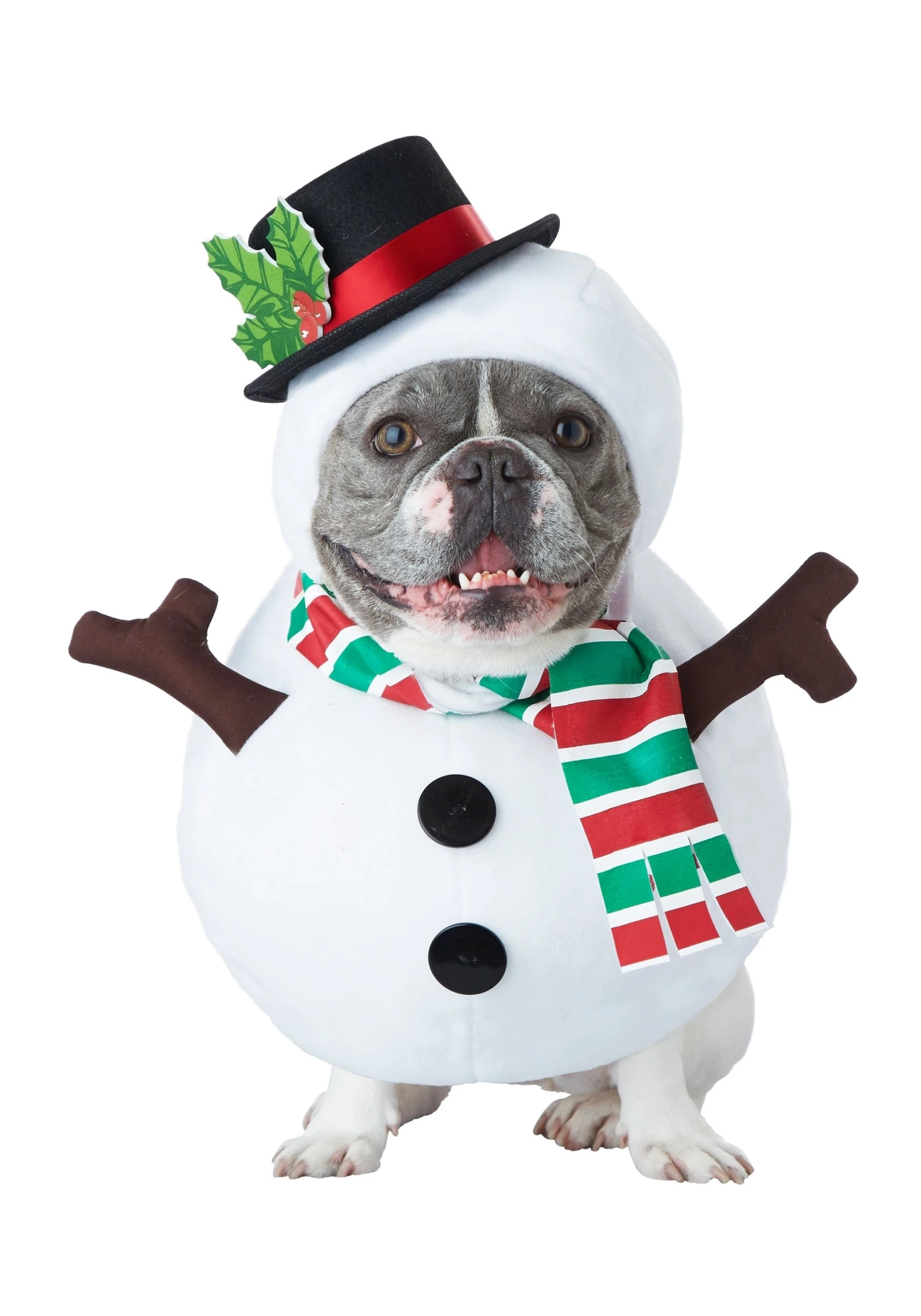 Snowman Dog Costume 1 Snowman Dog Costume