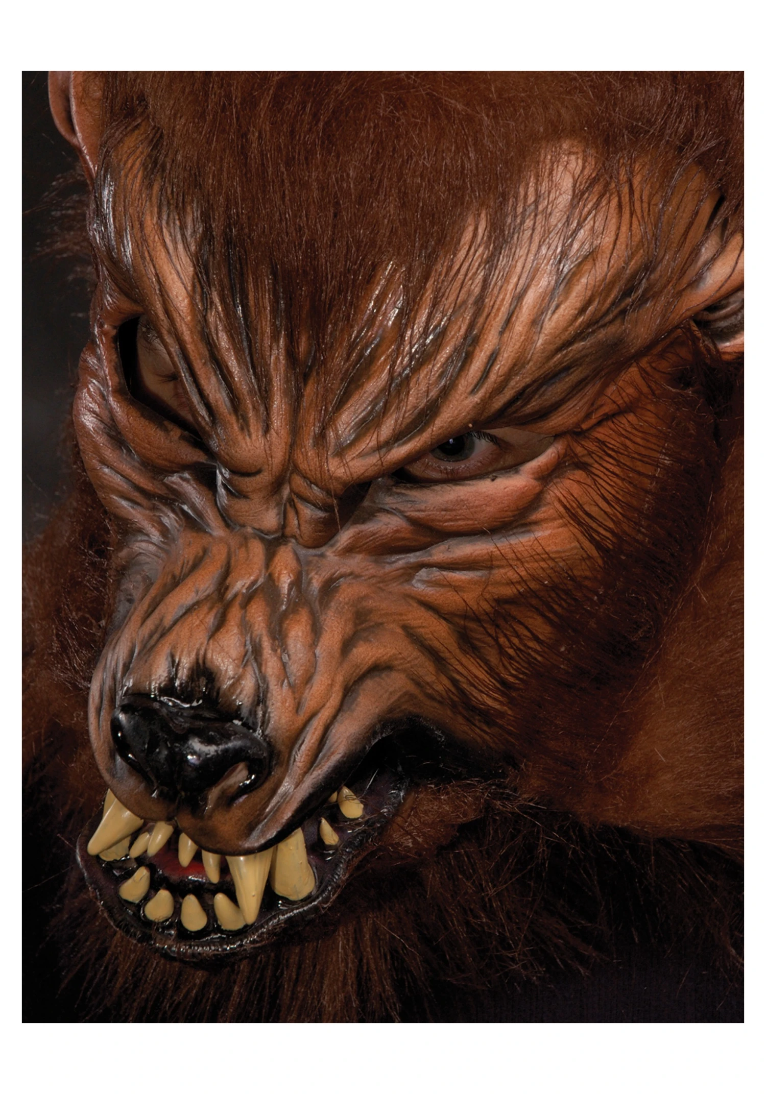Howl O Ween Werewolf Mask For Adults 1 Howl O Ween Werewolf Mask For Adults