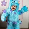 Disney Monsters Inc Hooded Sulley Costume For Infants