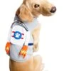 Jetpack Astronaut Pet Costume