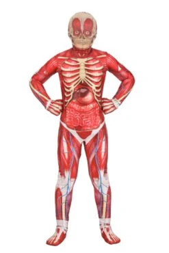 Anatomical Model Costume For Kids