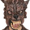 Brown Wolf Mask For Kids