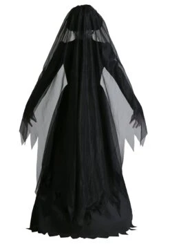 Lady In Black Ghost Costume -Halloween Costumes Shop lady in black womens ghost costume back