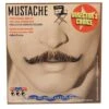 Fun World Gray Magician Mustache Accessory