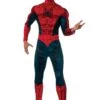 Marvel Adult Spider-Man Costume
