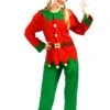 Adult Elf Costume