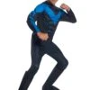 Nightwing Child Costume