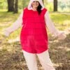 Plus Size Deluxe Disney Piglet Costume For Adults