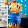 Disney Deluxe Woody Toy Story Plus Size Costume