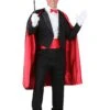 Plus Size Magician Costume For Men