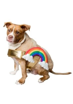 Rainbow Costume For Pets