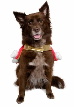 Rainbow Costume For Pets -Halloween Costumes Shop rainbow pet costume alt 4