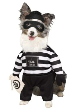 Fun World Robber Pup Pet Costume