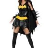 Sexy Batgirl Costume