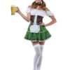 Sexy Beer Girl Women's Costume
