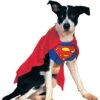 Superman Dog Halloween Costume