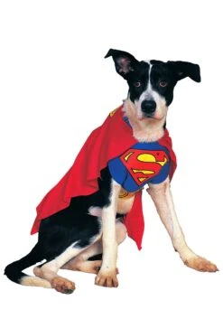 Superman Dog Halloween Costume