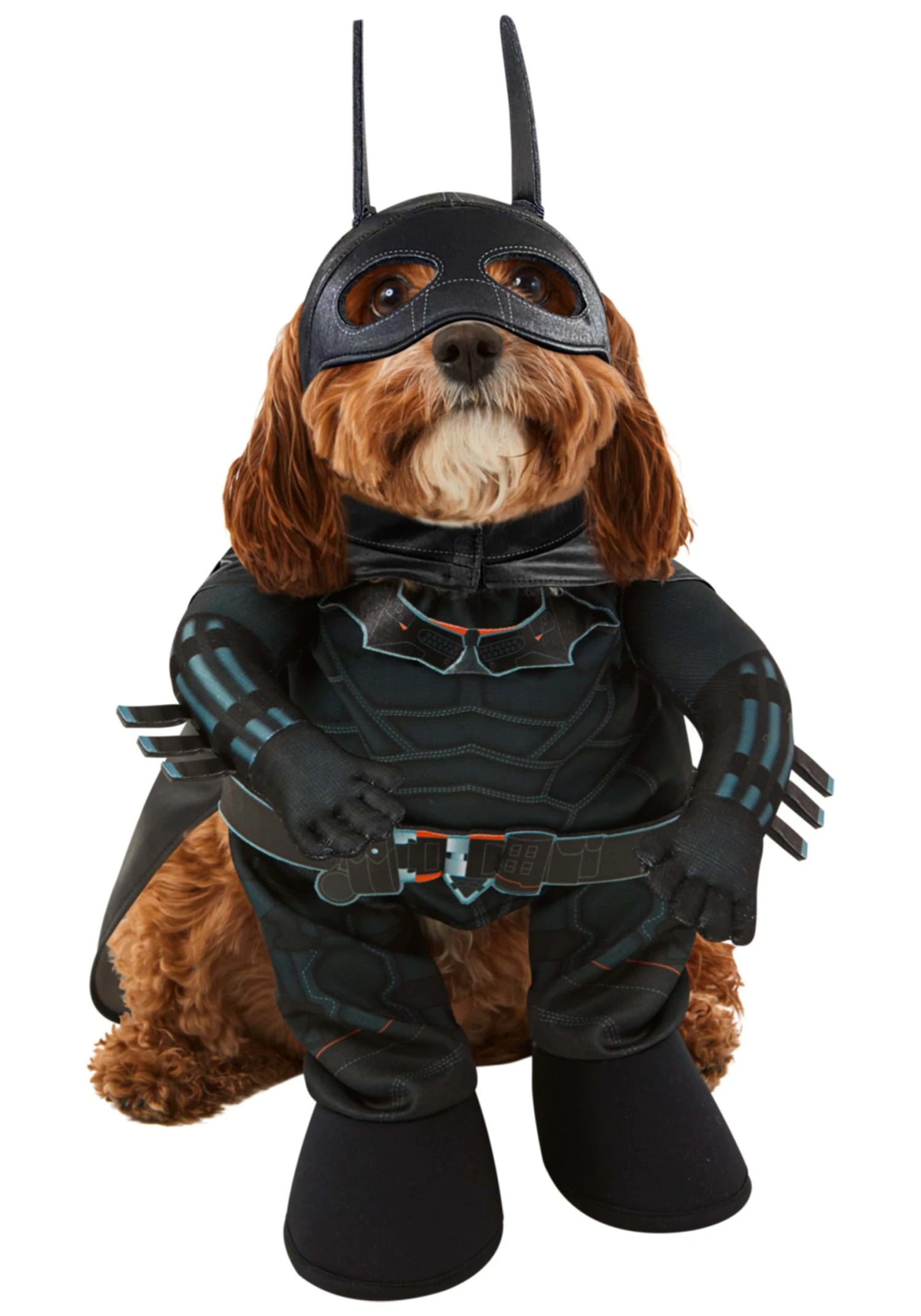 Gotham Batman Pet Costume 1 Gotham Batman Pet Costume