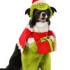 The Grinch Santa Pet Costume