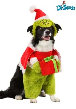 The Grinch Santa Pet Costume