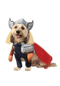 Avengers Thor Pet Costume