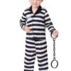 Toddler Delluxe Button Down Boys Jailbird Costume
